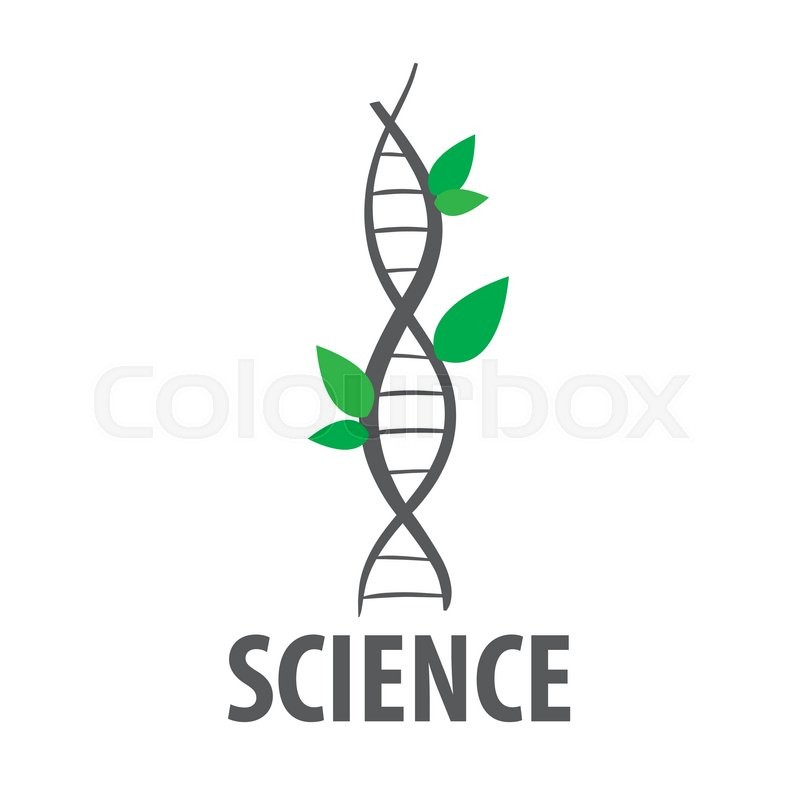 800x800 Logo Vector Dna In Form Of Plant Leaves Stock Vector Colourbox
