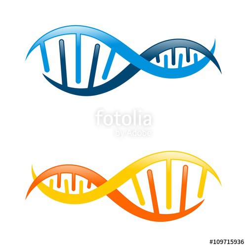 500x500 Colorful Dna Logo Template Stock Image And Royalty Free Vector