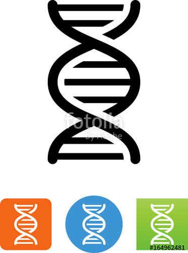 373x500 Dna Strand Icon