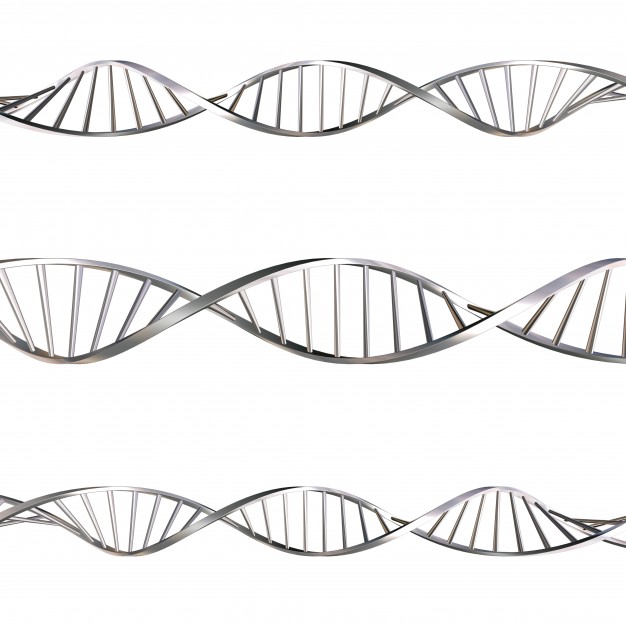 626x626 Dna Vectors, Photos And Psd Files Free Download