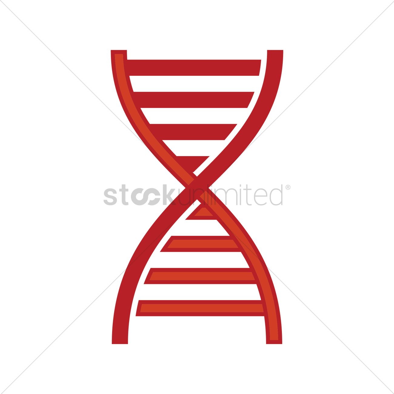 1300x1300 Dna Strand Icon Vector Image