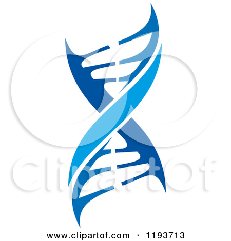 450x470 Helix Dna Strand Clipart