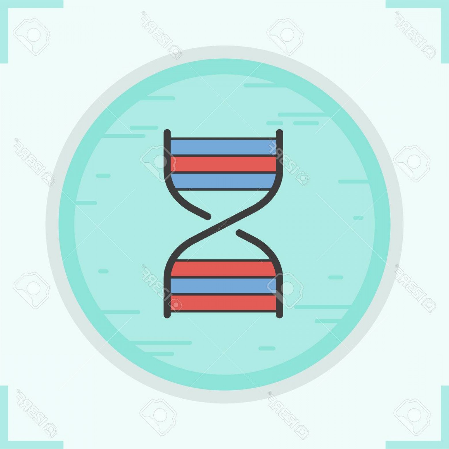 1560x1560 Photostock Vector Dna Strand Color Icon Dna Helix Human Genetics