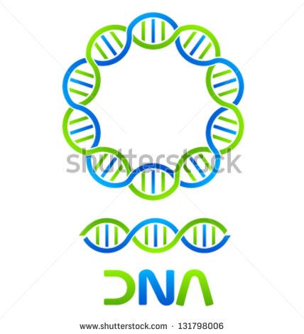 428x470 Vector Dna Strand And Seamless Logo In Shutterstock