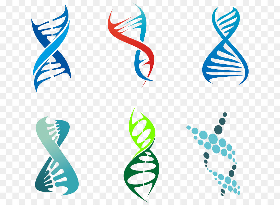 900x660 Dna Vector Genetics Royalty Free