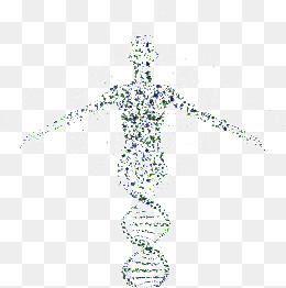 260x262 Dna Png, Vectors, Psd, And Clipart For Free Download Pngtree