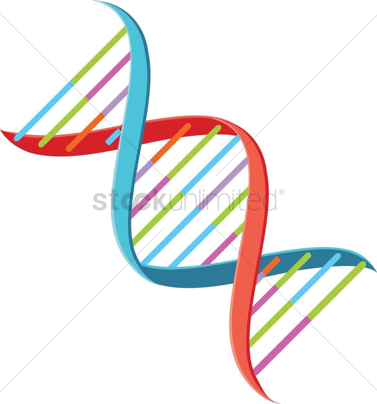 1213x1300 Dna Vector Image