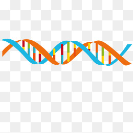 260x261 Dna Vector Png Images Vectors And Psd Files Free Download On
