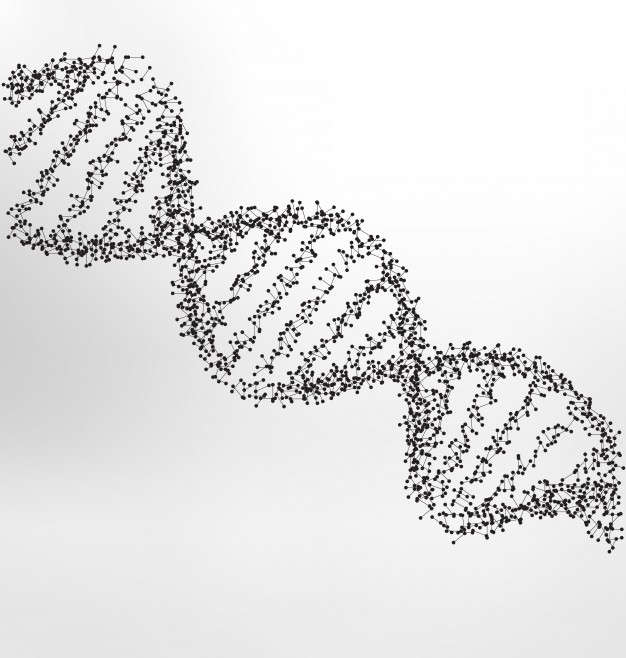 626x658 Dna Vectors, Photos And Psd Files Free Download