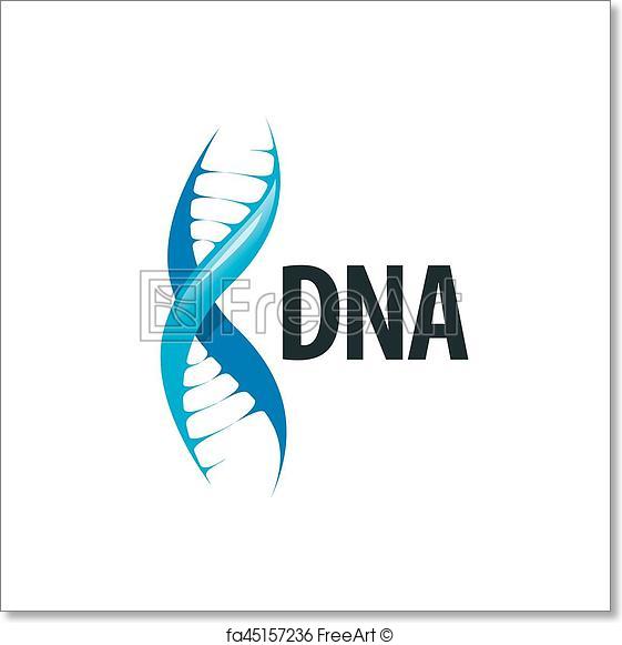 561x581 Free Art Print Of Vector Logo Dna. Design Pattern Logo Dna. Vector