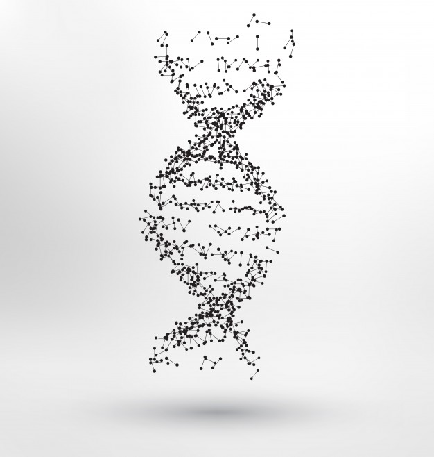 626x658 Abstract Human Dna Vector Free Download