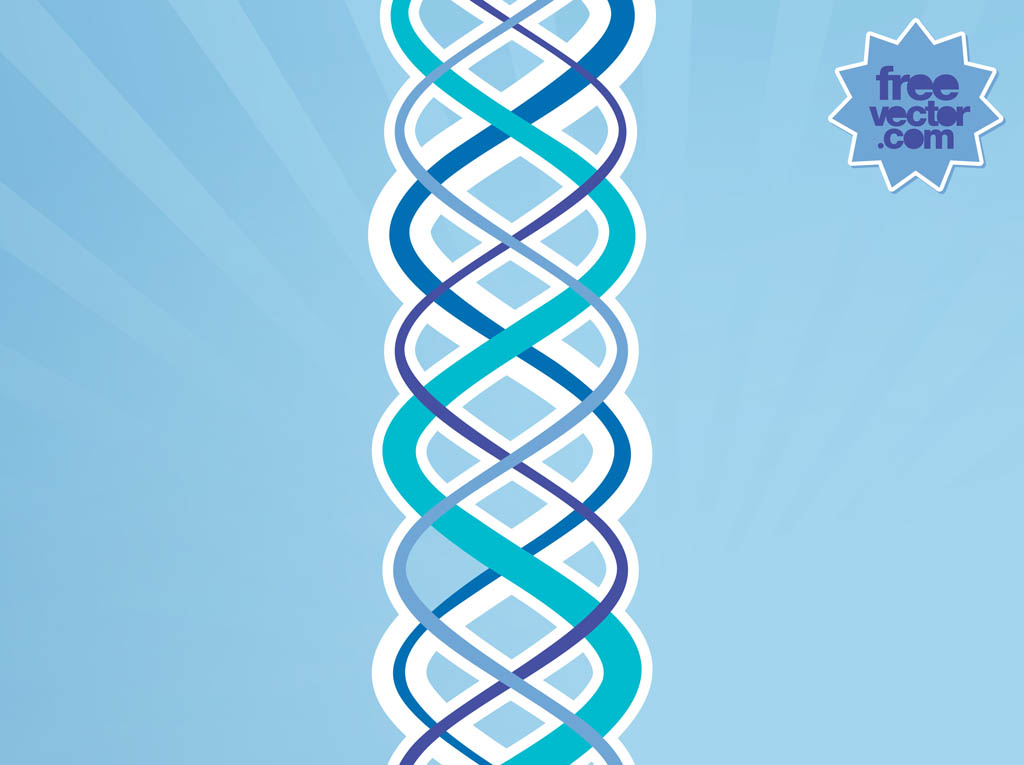 1024x765 Vector Dna Vector Art Amp Graphics