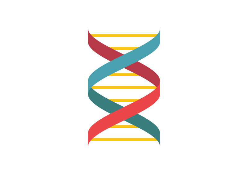 800x566 Dna Flat Style Vector Icon
