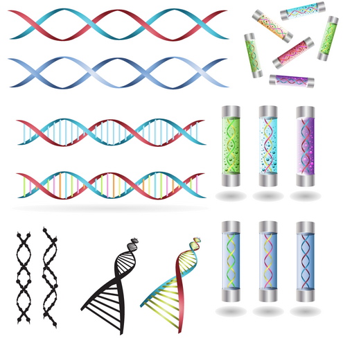 495x495 Dna Strains Vector Dragonartz Designs (We Moved