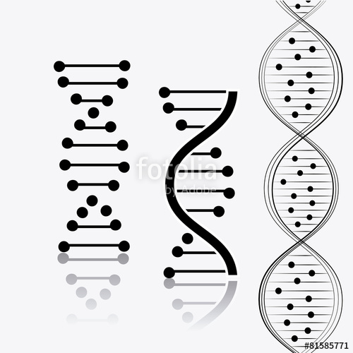 500x500 Dna Design. Stock Image And Royalty Free Vector Files On Fotolia