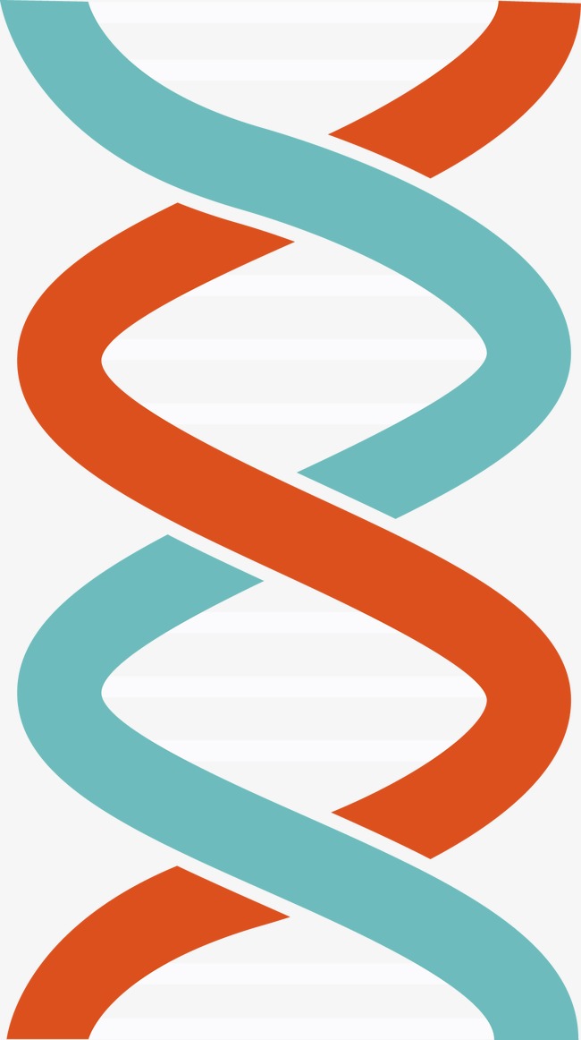 650x1162 Dna Vector, Medicine, Biology, Gene Png And Vector For Free Download