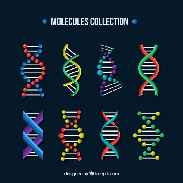 626x626 Dna Vectors, Photos And Psd Files Free Download