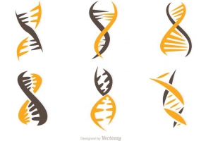 285x200 Dna Helix Free Vector Graphic Art Free Download (Found 161 Files