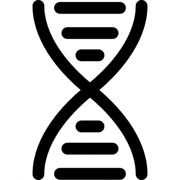 626x626 Abstract Dna Symbol Vector Free Download Adult Coloring