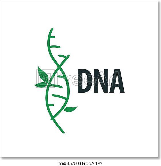 561x581 Free Art Print Of Vector Logo Dna. Design Pattern Logo Dna. Vector