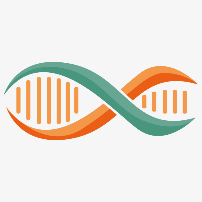 Dna Vector Free At Getdrawings Free Download