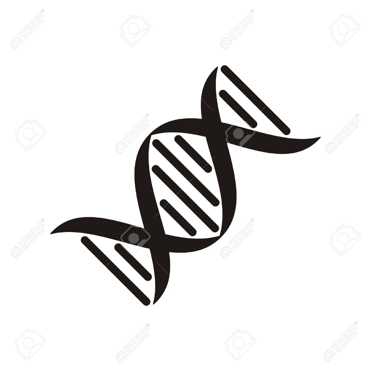 1300x1300 Dna Clipart Jpg