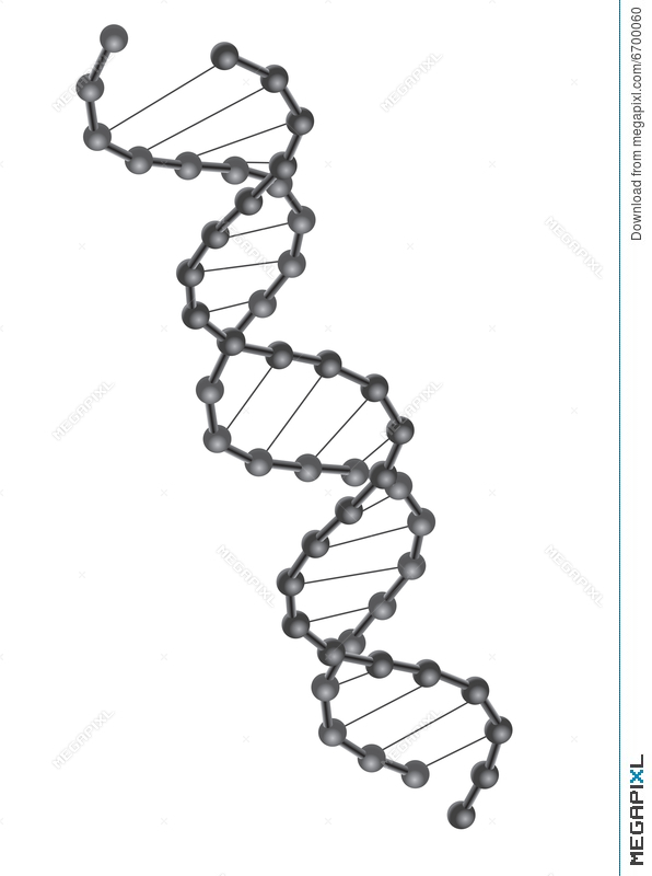 596x800 Dna Vector Illustration 6700060