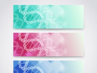 310x233 Dna Banner Free Vectors Ui Download