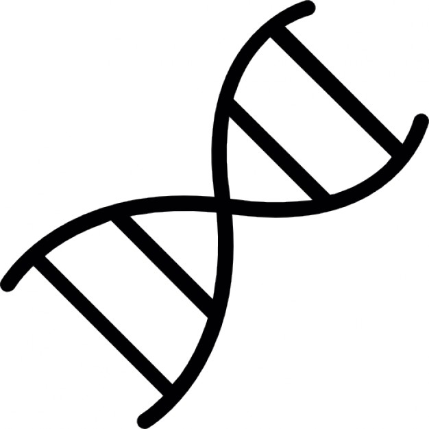 626x626 Free Dna Vector Icon 424092 Download Dna Vector Icon