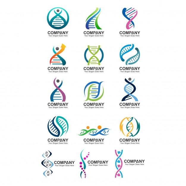 626x626 Biology Dna Vectors, Photos And Psd Files Free Download