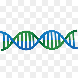 260x260 Helix Vector Png, Vectors, Psd, And Clipart For Free Download