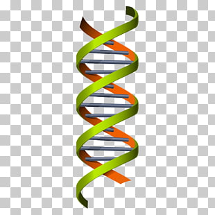 310x310 Page 2 4,056 Dna Png Cliparts For Free Download Uihere