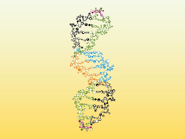 646x483 Colorful Dna Vector Free Free Download