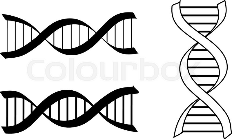 800x480 Hand Drawn Dna Spiral Icon Vector Abstract Illustration Stock