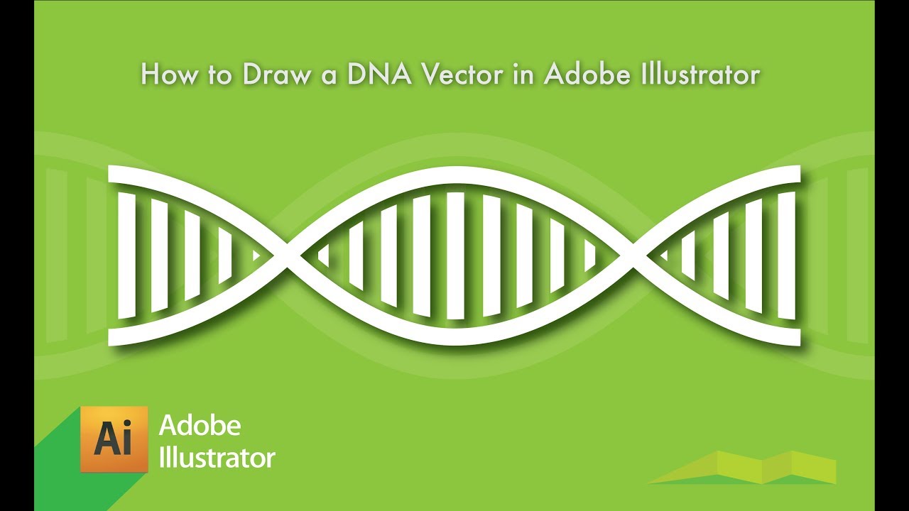 1280x720 Learn How To Draw A Dna Vector In Adobe Illustrator 2018