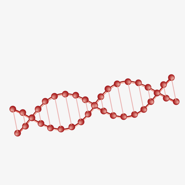 dna vector illustrator free download