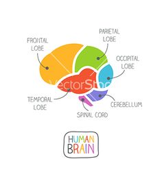 236x248 Abstract Dna Vector By Majcot On Dna