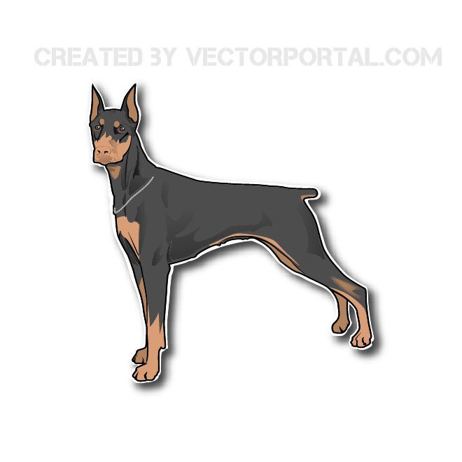 660x660 Doberman Image Free Vector 123freevectors