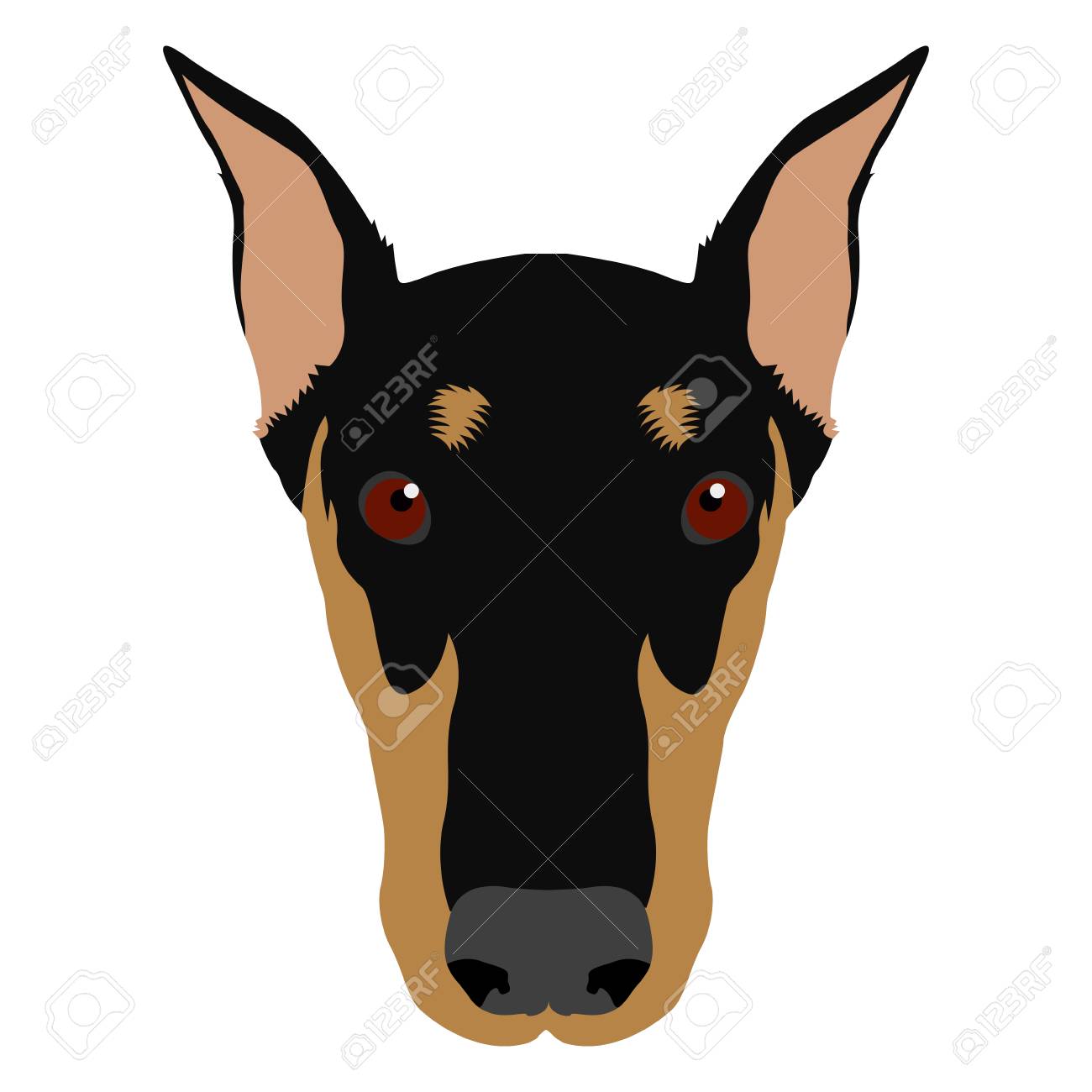 1300x1300 Face Clipart Doberman ~ Frames ~ Illustrations ~ Hd Images ~ Photo