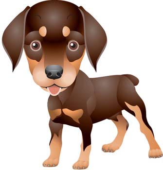 335x350 Free Download Of Doberman Vector 5 Vector Graphic