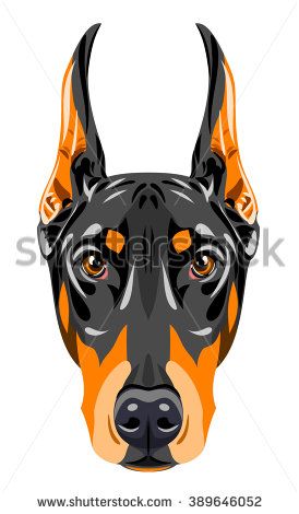274x470 Portrait Of A Black Doberman Pinscher