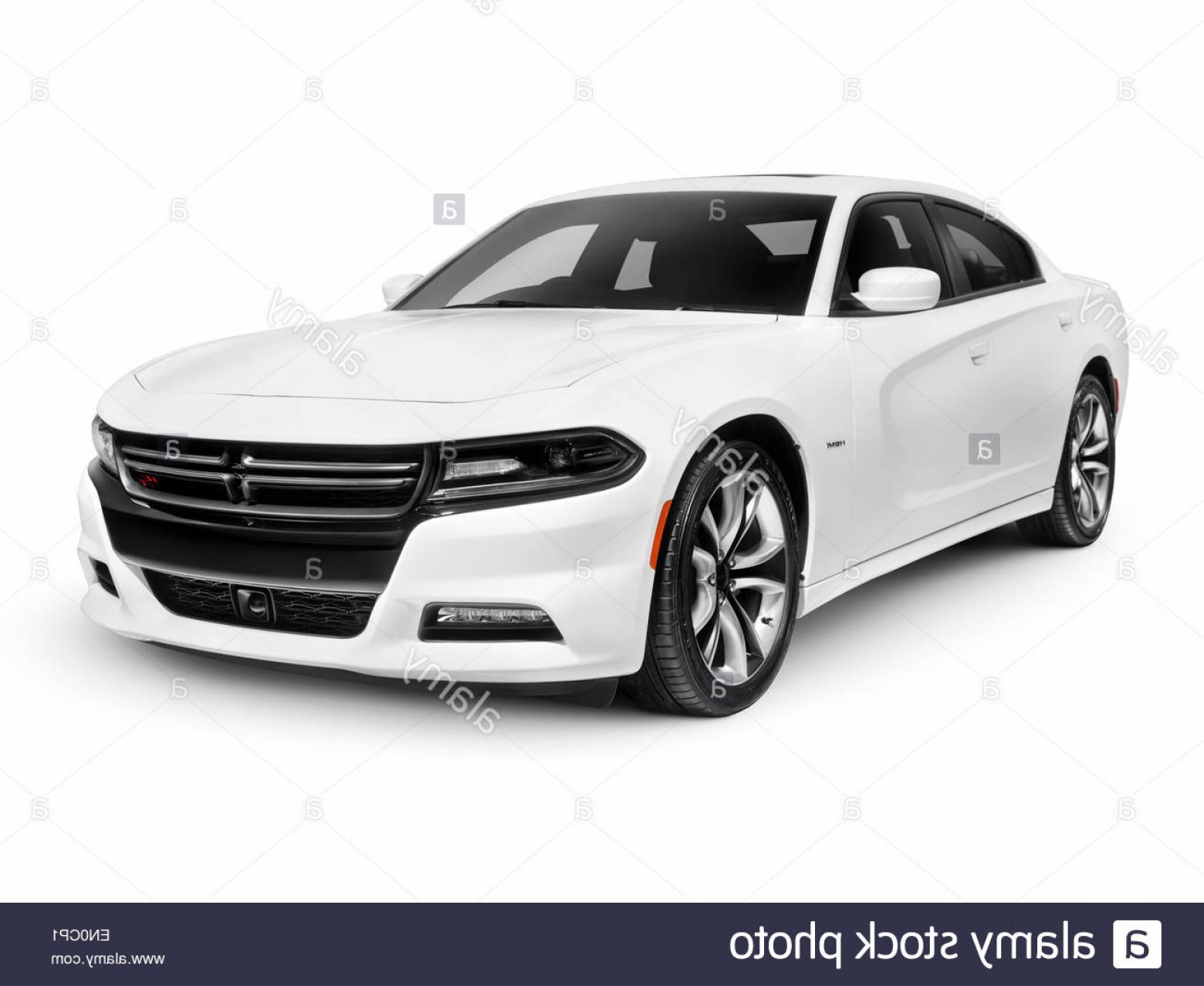 1560x1278 Stock Photo White Dodge Charger Rt Road And Track Sports Car