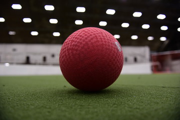 359x240 Dodgeball Photos, Royalty Free Images, Graphics, Vectors Amp Videos