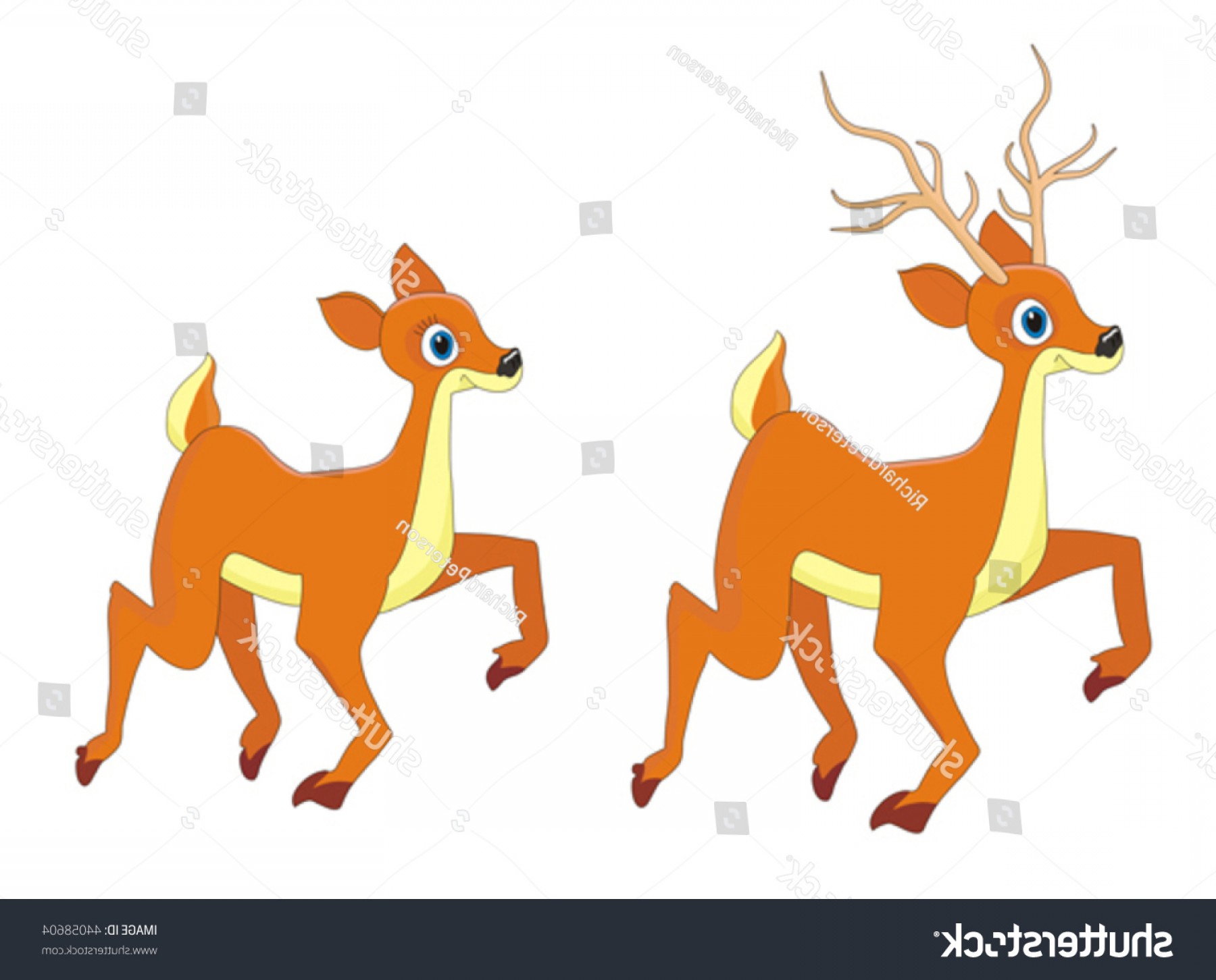 1800x1452 Deer Doe Cartoon Vector Illustration Shopatcloth