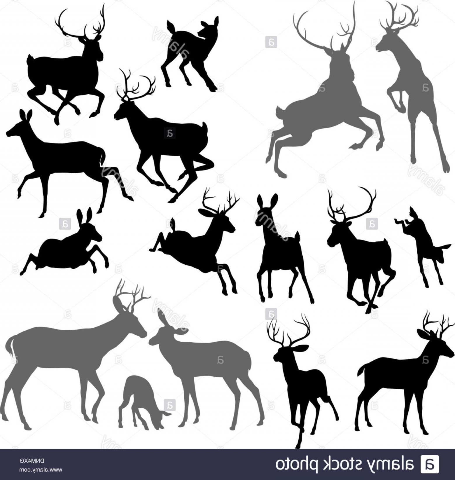 1560x1645 Jumping Deer Vector Lazttweet