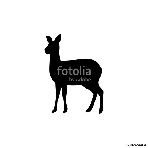 500x500 Silhouette Of Doe Stock Image And Royalty Free Vector Files On