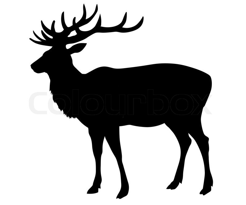 800x664 Vector Silhouette Deer On White Background Stock Vector Colourbox
