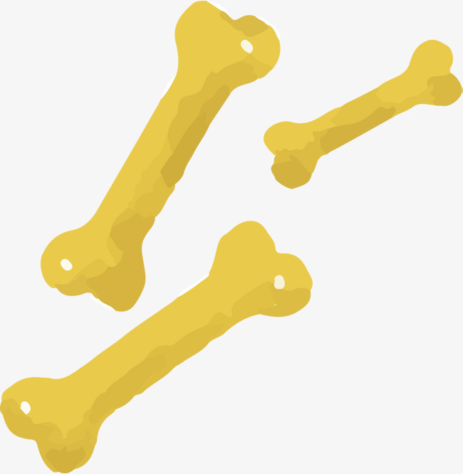 650x666 Dog Bones Vector, Dog Vector, Yellow, Bone Png And Vector For Free