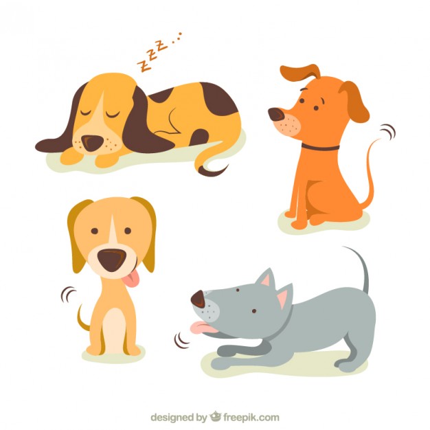 626x626 Dog Vector Png