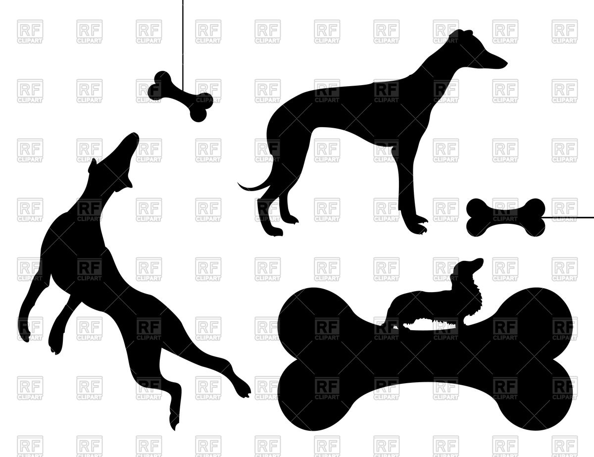 1200x923 Dog Chases Bone Vector Image Vector Artwork Of Plants And